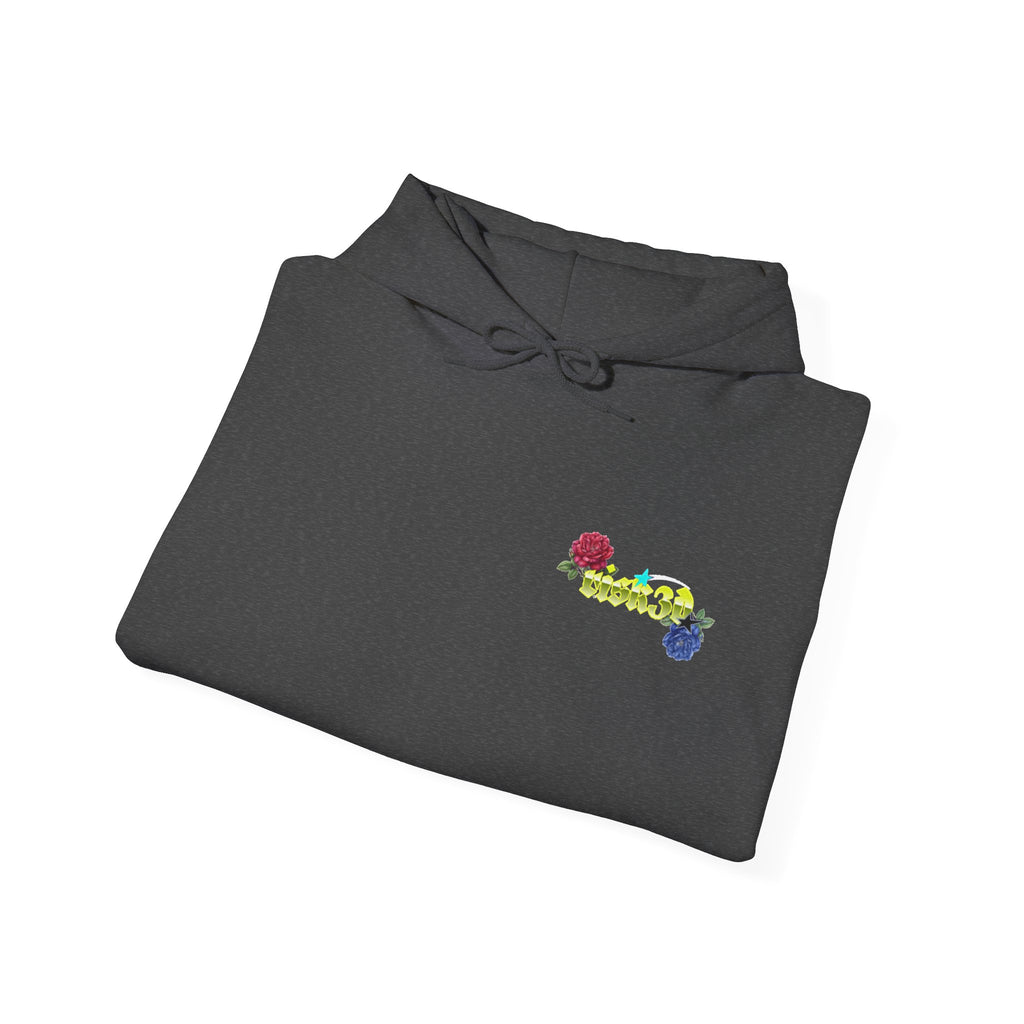 RISK3D Basic Hoodie