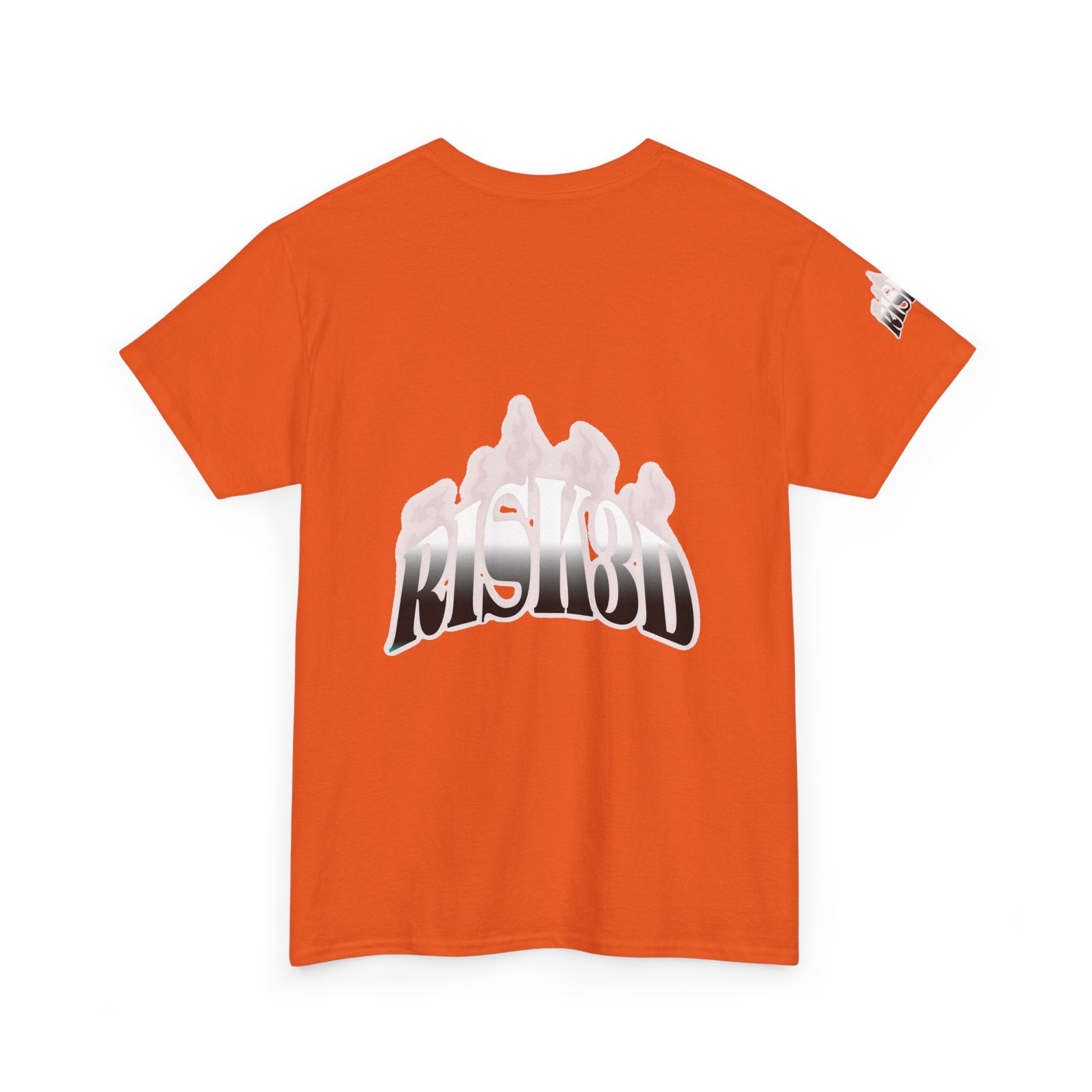 RISK3D 3.Design