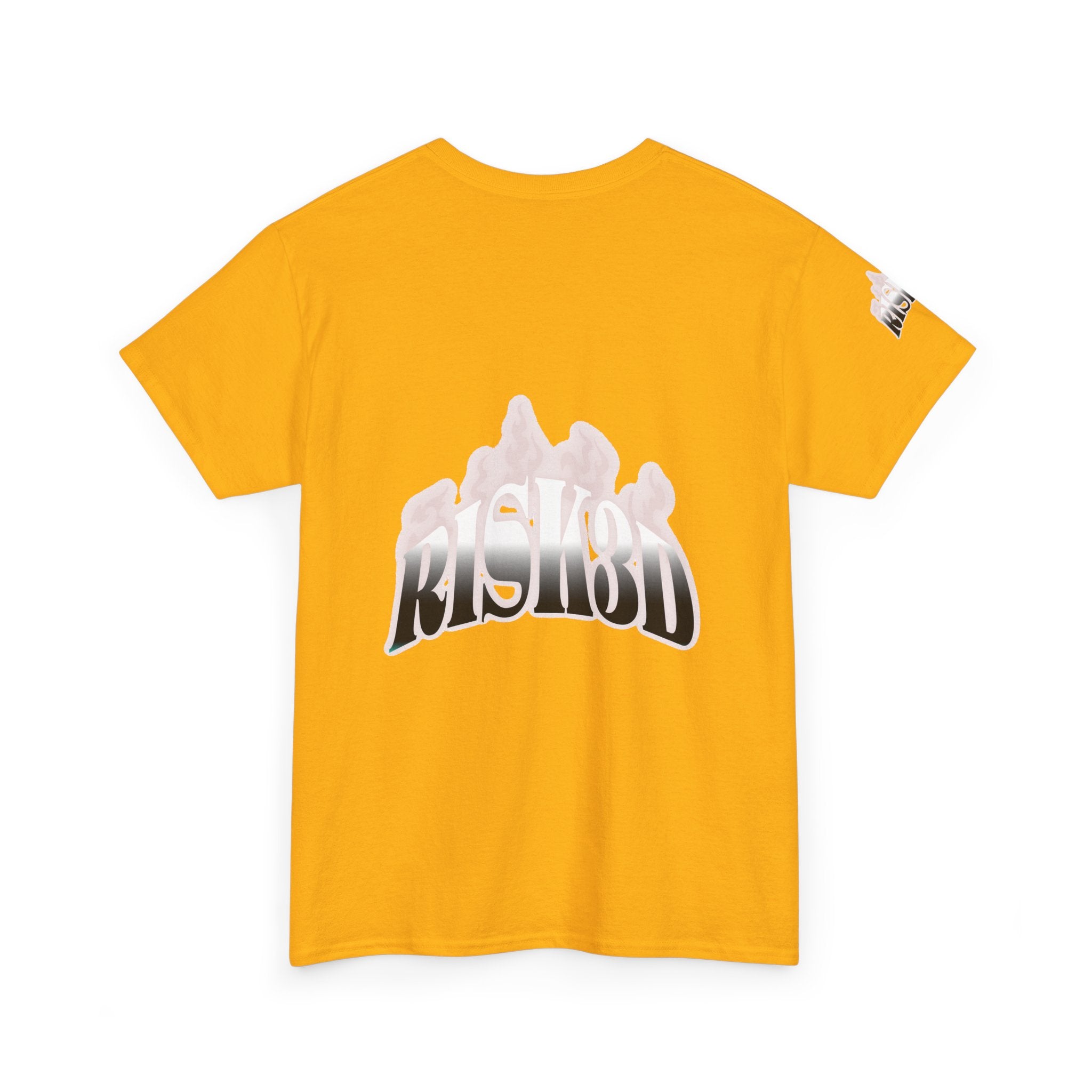 RISK3D 3.Design