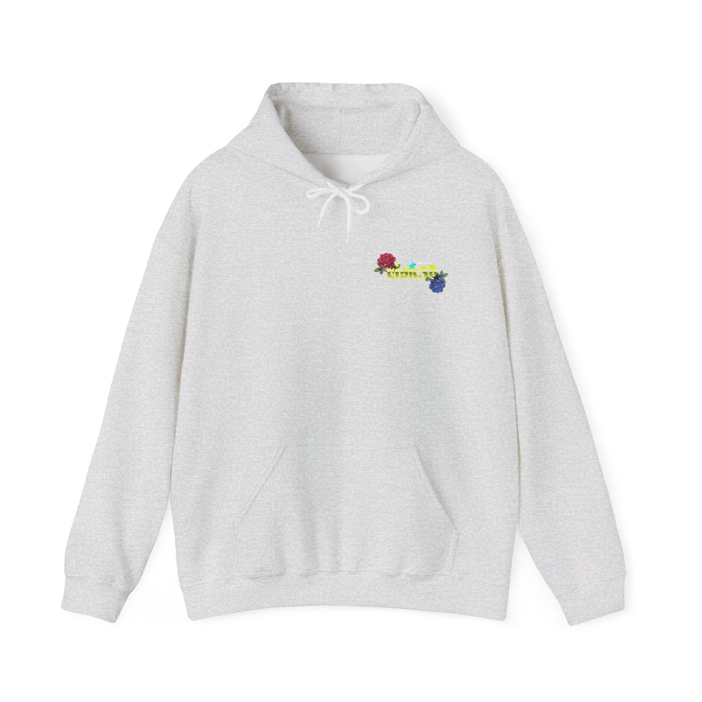 RISK3D Basic Hoodie