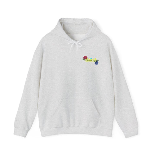 RISK3D Basic Hoodie